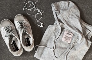 Grey-and-GoldenGoose